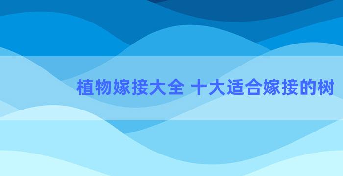 植物嫁接大全 十大适合嫁接的树